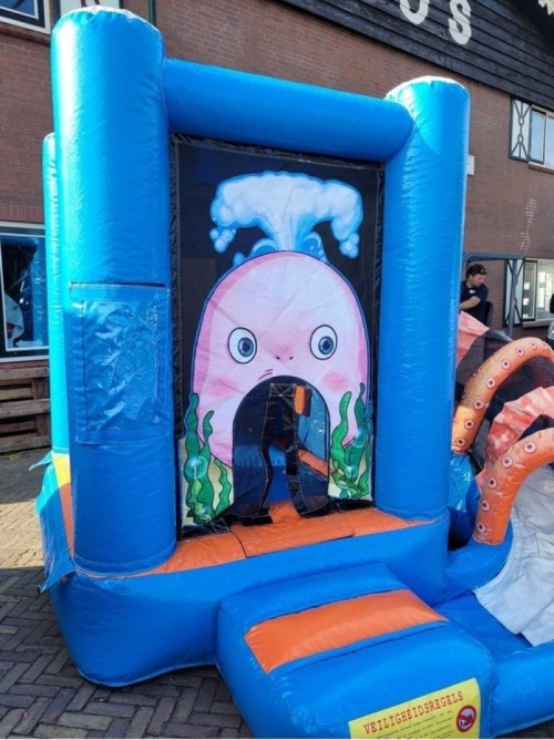 Springkussen Mini walvis met slide